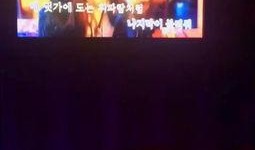 深夜视频网站,娱乐狂欢还是信息陷阱？